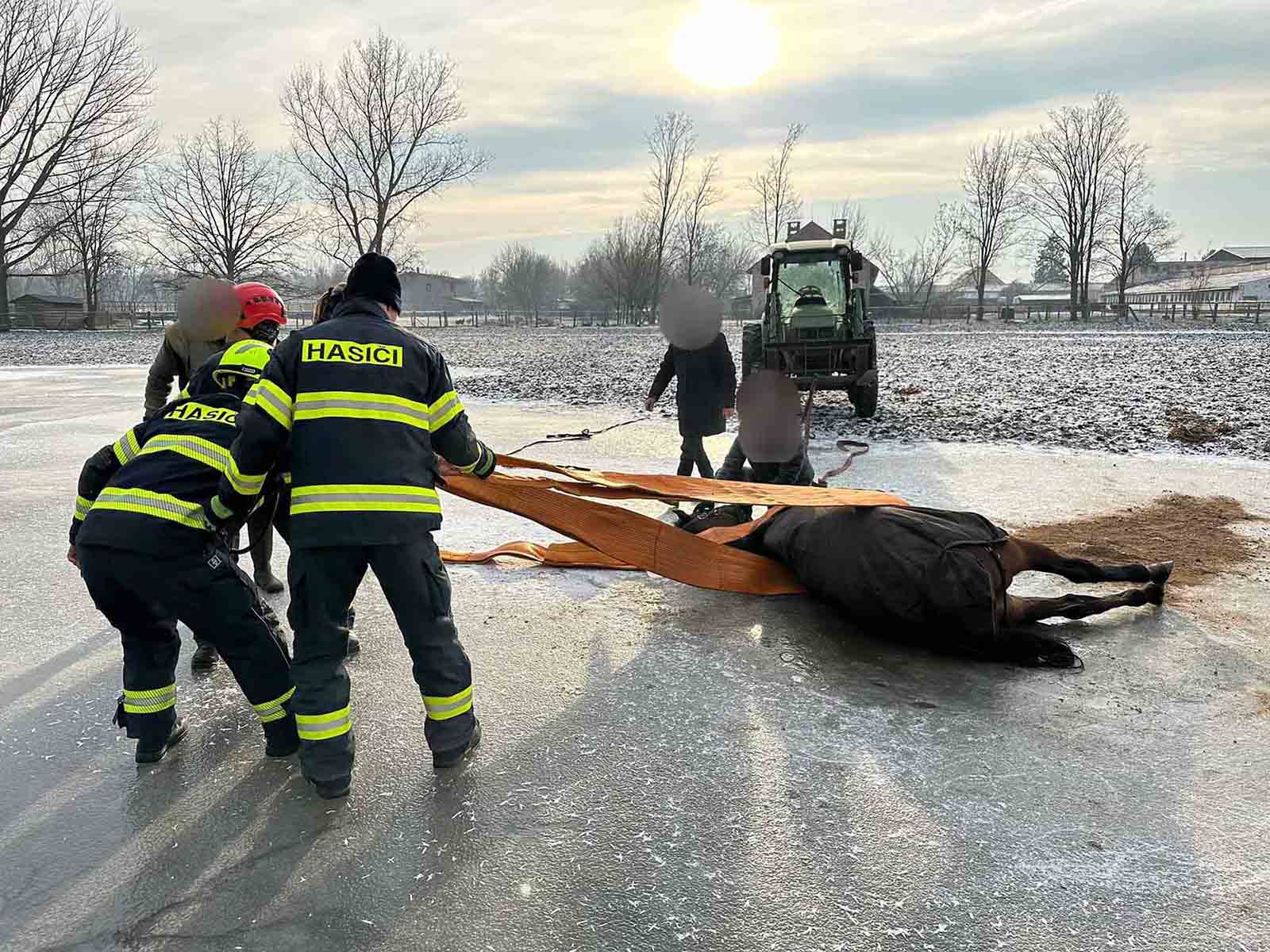 Hasiči na Pardubicku zachraňovali koně z ledové plochy. Přečtěte si další aktuality na portále horseboook