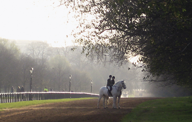 Věděli jste, že v Londýnském Hyde Parku se můžete procházet i na koni? Přečtěte si víc na blogu horseboook.cz