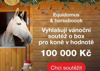 Vánoční soutěž o box pro koně: už známe vítěze. Zjistěte kdo výhral na blogu horseboook