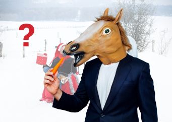 Věděli jste, že 80 % koní dostává dárky k Vánocům? Zjistěte jaké na blogu horseboook.