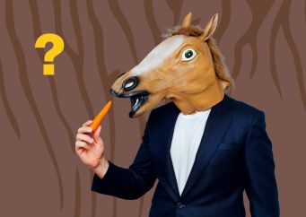 Věděli jste, že Zebrula je potomkem hřebce zebry a klisny koně? Přečtěte si víc na blogu horseboook.