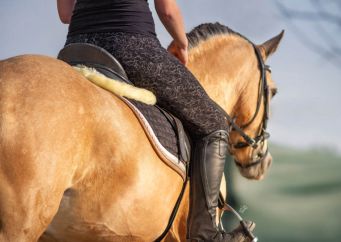 Výběr padnoucího podbřišníku: malý detail hrající velkou roli pro koně i jezdce. Přečtěte si o tom na blogu horseboook.cz