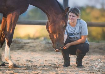 Práce ze země: Proč je pro koně i jezdce důležitá? Čtěte víc na blogu horseboook