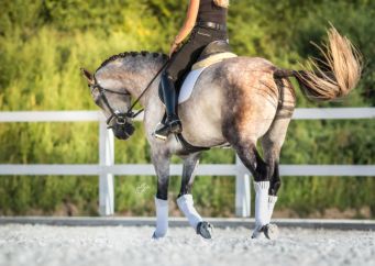 Rovnováha v sedle = dobrý jezdec a spokojený kůň. Proč je tak důležitá, a jak na ní pracovat? blog o koních