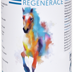 IR (Imunita a regenerace) pro koně 600g