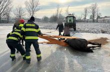 Hasiči na Pardubicku zachraňovali koně z ledové plochy. Přečtěte si další aktuality na portále horseboook