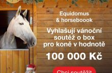 Vánoční soutěž o box pro koně: už známe vítěze. Zjistěte kdo výhral na blogu horseboook