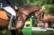 Věděli jste, že udržování čistého jezdeckého vybavení je zásadní pro zdraví koně? Přečtěte si víc na blogu horseboook.