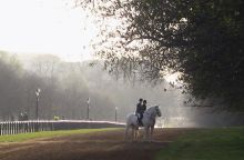 Věděli jste, že v Londýnském Hyde Parku se můžete procházet i na koni? Blog o koních horseboook.cz